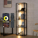 FENLO Fancy - LED Display Shelf with Dimmable Lights, LED Shelf Floor Lamps - Brand New