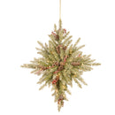Tree Company Dunhill Fir Bethlehem Star Battery Operated Lights DUF3-301-32STB1 - Like New