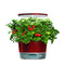 AEROGARDEN HARVEST ELITE 360, WITH GOURMET HERBS SEED KIT - RED - Like New