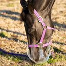 ThinLine Flexible Filly Grazing Muzzle Lightweight Safe Comfortable Ventilated - Like New