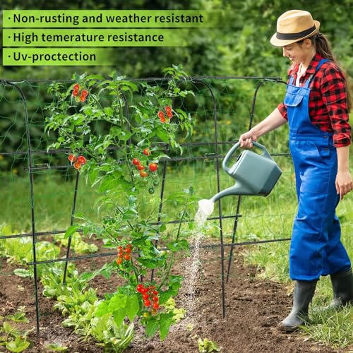 LALAHONI GARDEN TRELLIS FOR CLIMBING PLANTS OUTDOOR，BLACK H 48" x L 65" - BLACK - Like New