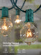 Brightown Outdoor Patio String Lights 100Feet G40 Backyard Light - Green - Like New