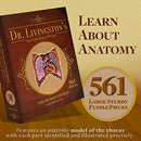 Human Thorax Anatomy Puzzle - Adult Jigsaw Puzzles Unique Gifts for Kids - Brand New