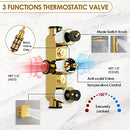 Everstein Plumbing SFS-1016-GD12 Shower System with Body Jets - Gold - Like New