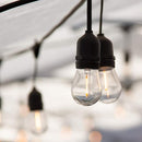 BRIGHTOWN 48 FT PLUG-IN S14 EDISON BULB STRING LIGHT 16 EDISON LED 2700K - BLACK - Like New
