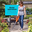 Black+Decker 130 Mph 100 CFM 20 V Battery Sweeper Kit LSW321 - - Scratch & Dent