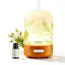 FASHOME ESSENTIAL OIL DIFFUSER HAND BLOWN GLASS 100ML ULTRASONIC HEA01A - GREEN - Like New
