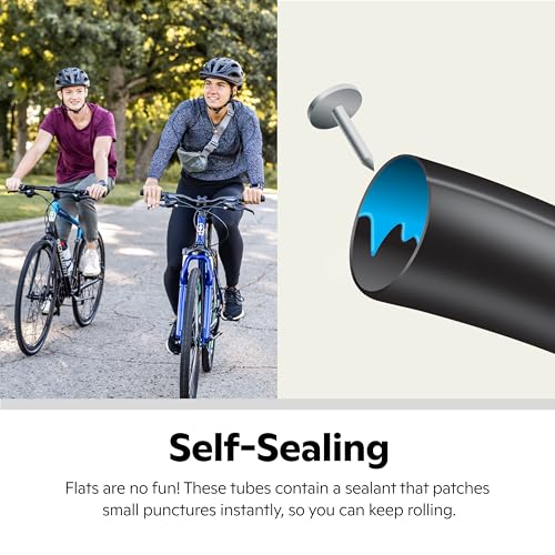 Schwinn Replacement Bike Tire Tube, Bike Inner Tube, Standard or Self Sealing - Brand New
