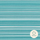 Trava Home IndoorOutdoor Rug, Easy to Clean, WaterResistant, 6'x9', Blue Stripe - Brand New