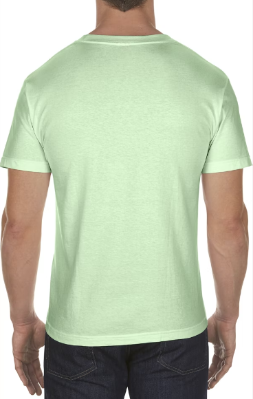 AL1301 American Apparel Adult 6.0 oz., 100% Cotton T-Shirt New