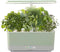 AeroGarden 100690-WHT Harvest With Heirloom Salad Greens Pod - Scratch & Dent