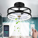 PEZOTA Ceiling Fans with Lights - Brand New