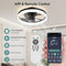 AHAWILL LOW PROFILE CEILING FANS LIGHTS 19.7" FLUSH MOUNT CEILING FAN - BLACK - Brand New