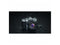 OM System 12 mm to 45 mmf/4 - Zoom Lens