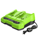 GREENWORKS 24V DUAL PORT BATTERY 017817 CAG817 - GREEN/BLACK - Like New