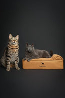 NOAH & PAW Small Dog Bed, Orthopedic Eggshell Memory Foam, 20x15x6.5 Inch - Tan - Like New