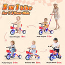 Kkdi 5 in 1 Toddler Bike for 1-3 Year Old, Tricycle with Push Handle - Like New