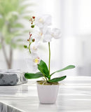 RESTORANTWARE FAUX FIORE WHITE ORCHID, WHITE POT, WHITE- RWA0265-1-WHITE - Like New