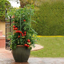 ZJIA 3 Pack Tomato Cages 36" Plant Support Cages Trellis Garden - Brand New