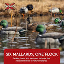 Avian X Topflight Realistic Open Water Mallard Duck Decoys with Weight-forward - Brand New