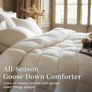 SANSWAN LUXURY GOOSE DOWN COMFORTER OVERSIZED QUEEN, 750 FILL POWER, WHITE - Like New