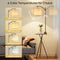 ROTTOGOON FLOOR LAMP END TABLE LAMP REMOTE CONTROL CHARGING STATION - BROWN - Like New