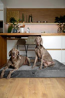 CL-VE-GRY NOAH & PAW Velvet Collection Giant Dog Bed Orthopedic 2XL Grey - Like New