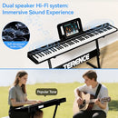 TERRENCE PORTABLE PIANO KEYBOARD 88 KEYS: TERENCE FOLDING - EBONY - Like New