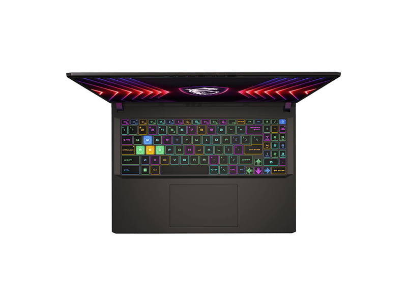MSI Vector 16 HX Gaming Laptop Intel Core i9-14900HX GeForce RTX 4060 16GB
