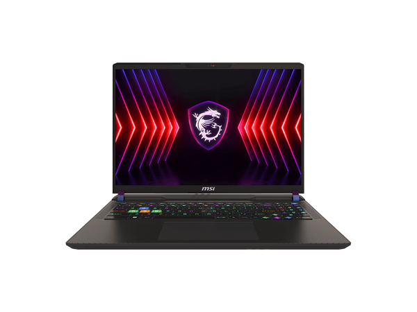 MSI Vector 16 HX Gaming Laptop Intel Core i9-14900HX GeForce RTX 4060 16GB