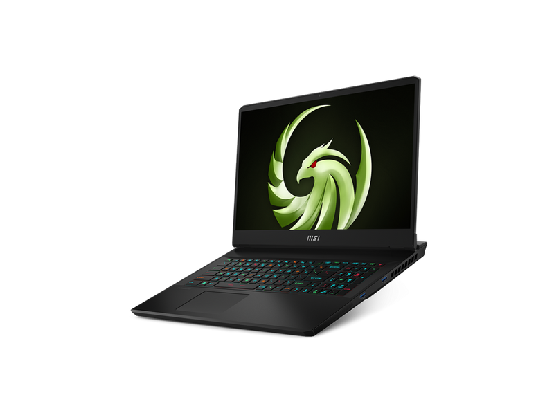 MSI - 17.3" GeForce RTX 4070 Laptop GPU - AMD Ryzen 9 7945HX  - 32GB Memory - 2