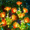 Brightown Outdoor Solar Garden Lights - 4 Pack LED Flower Lights Glowing - Red - Like New
