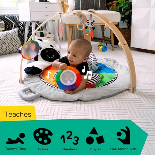 Baby Einstein Zen's Activity Milestones Plush Gym, Wooden Bar - White - Like New