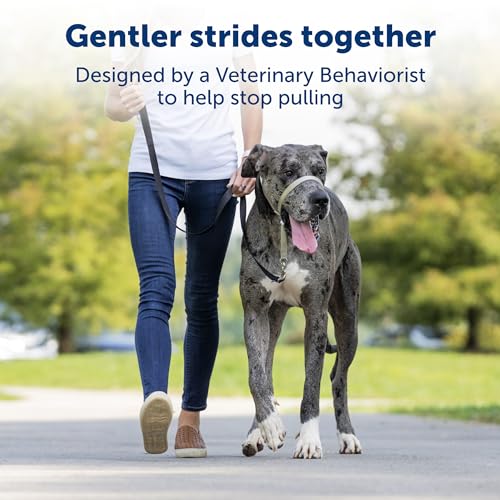 PETSAFE GENTLE LEADER NO-PULL DOG HEADCOLLAR SMALL - BLACK - Like New