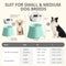 Fluffydream Elevated Dog Bowls Prevention Vertebrae Disease Super Non-Slip - Like New