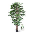 Aveyas 6ft Artificial Ficus Tree Home Decor Faux Plant Fake Silk Trees Pot - Brand New
