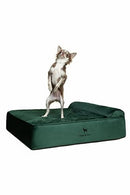 NOAH & PAW DOG BED 28X23X11 IN ORTHOPEDIC BEDS EGGSHELL FOAM INFUSED - GREEN - Like New