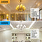 BRIGHTEVER 12-Pack Vintage 7W ST58 LED Edison Light Bulbs 60W Equivalent - White - Like New