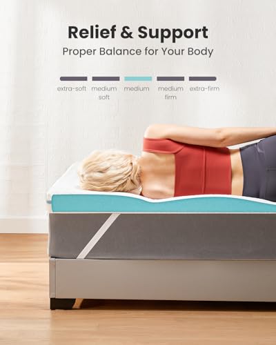 Dreamsmith 3 Inch Gel Memory Foam Mattress Topper, Queen - Blue - Like New