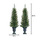 4-Foot Potted Cedar Pine Trees with 100 Clear Lights (Set of 2) B00ERESRCI - Brand New