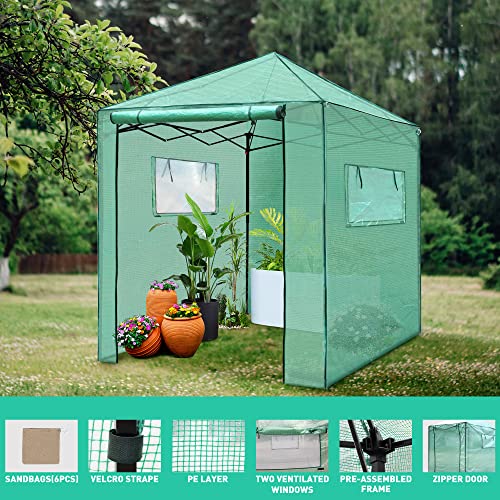 PEXFIX 6'X 5' PORTABLE WALK-IN GREENHOUSE EASY SETUP GARDEN GREEN HOUSES - GREEN - Like New