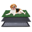 GLOWPTPADXGRASS2030 FLUFFYDREAM ARTIFICIAL GRASS DOG POTTY 20X30" - BLACK/GREEN - Like New