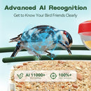 BROAIMX SMART BIRD FEEDER WITH CAMERA-AI IDENTIFY SPECIES - GREEN - Like New