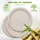 Superior Forest 100% Compostable 9 inch Paper Plates [150-Pack] Heavy-Duty - Brand New