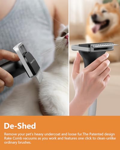 IDEATOY DOG GROOMING VACUUM 3L LARGE CANISTER DOG VACUUM FOR SHEDDING - BLACK - Brand New