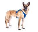 Belka Harness Air-Mesh Ruby 3XL - Brand New