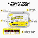 Magicfly Egg Hatching Incubator Fully Automatic Egg Turning B096B4GKY2 - NEW - Brand New
