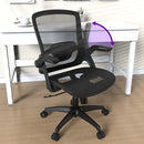 TTD TIANTIANDA ERGONOMIC MESH SEAT DESK CHAIR HEIGHT ADJUSTABLE - BLACK - Like New