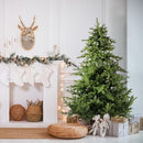 Fraser Hill Farm 7.5-Ft Foxtail Pine Christmas Tree with Stand - Brand New