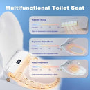 GOLDTECH BIDET TOILET SEAT HEATED BIDET SEAT - WHITE - Like New